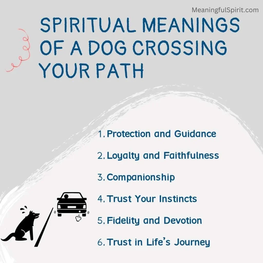 spiritual-meanings-of-a-dog-crossing-your-path
