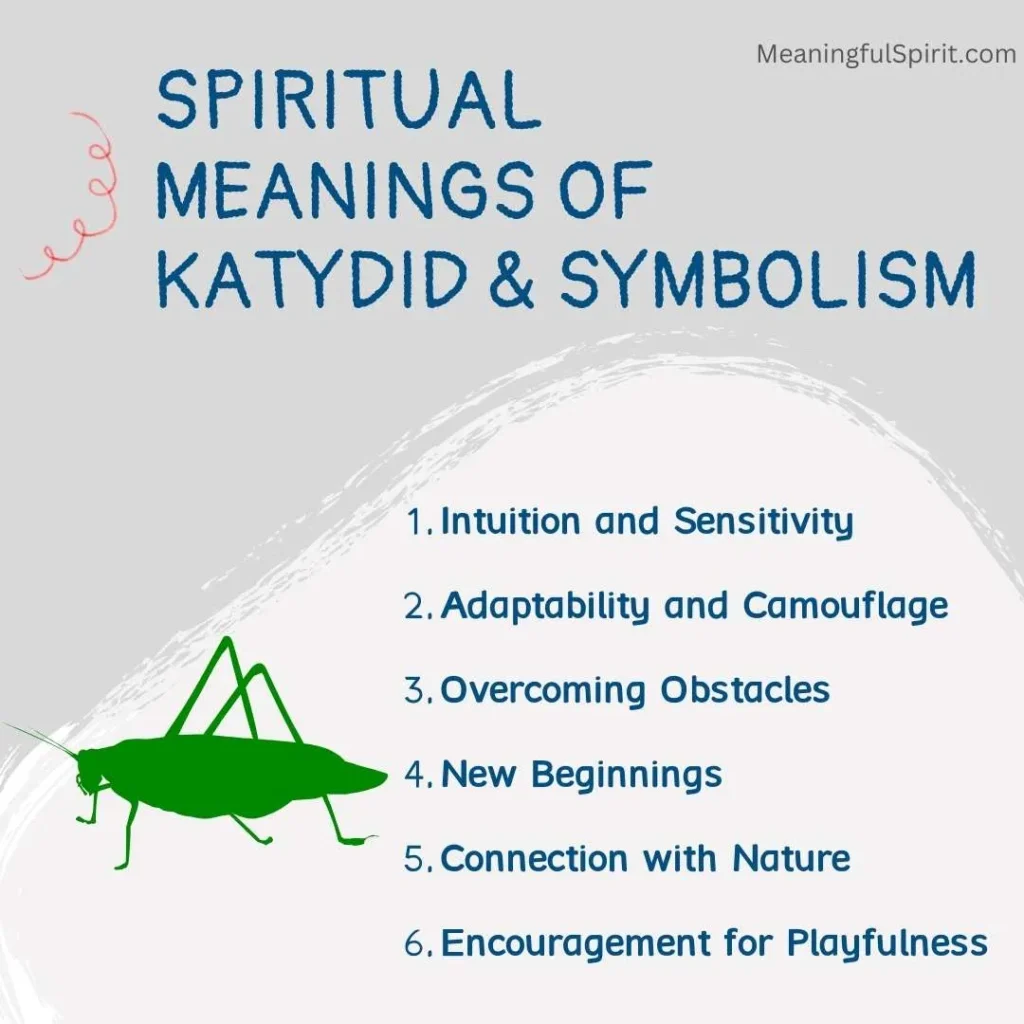 spiritual-meanings-of-katydid-and-symbolism