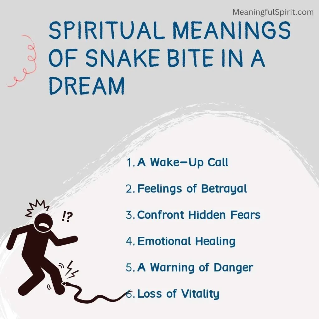 spiritual-meanings-of-snake-bite-in-a-dream