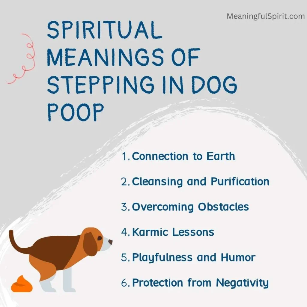 spiritual-meanings-of-stepping-in-dog-poop