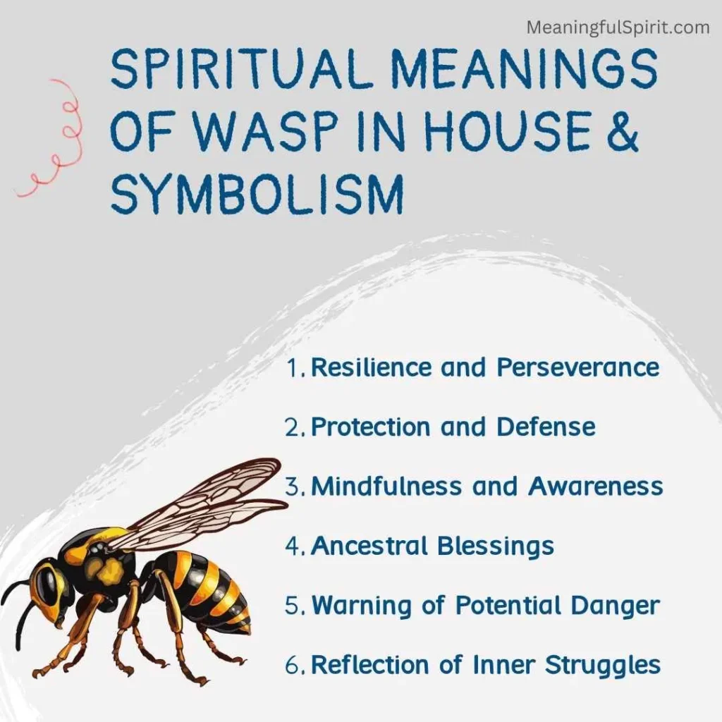 spiritual-meanings-of-wasp-in-house-and-symbolism