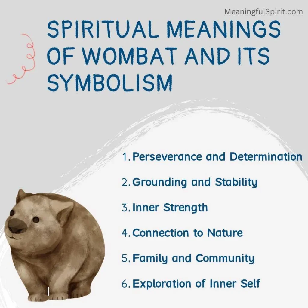 spiritual-meanings-of-wombat-and-symbolism