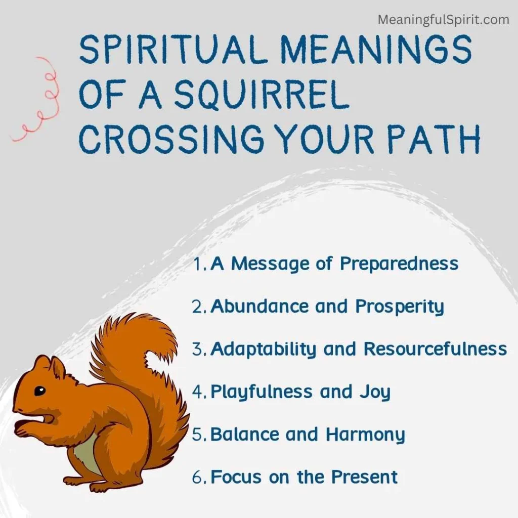 spiritual-meanings-of-a-squirrel-crossing-your-path