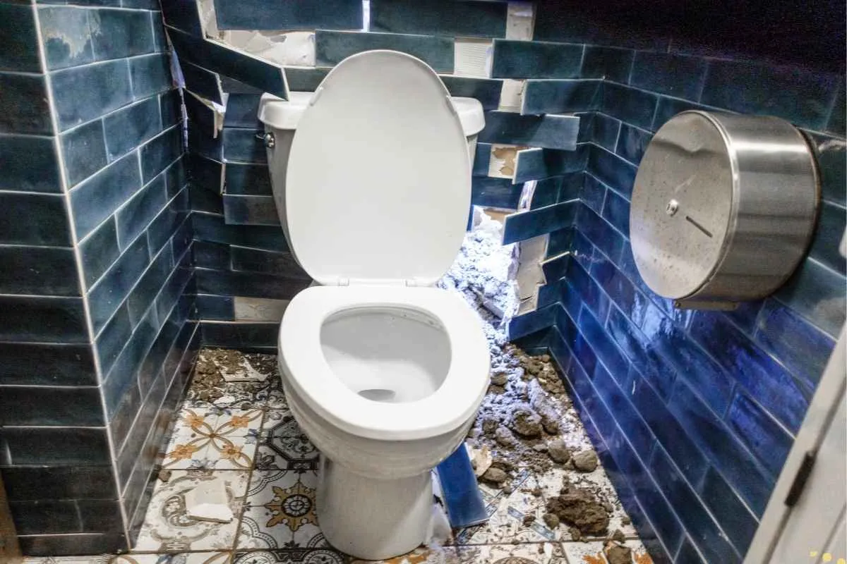 what-is-the-spiritual-meaning-of-toilet-dirty-or-cleaning