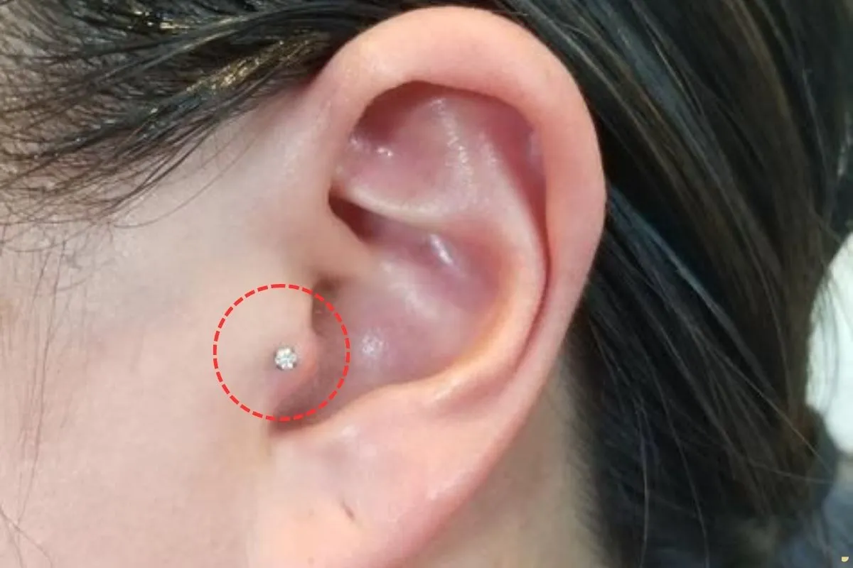 what-is-the-spiritual-meaning-of-tratus-piercing-and-anti-tragus-piercing