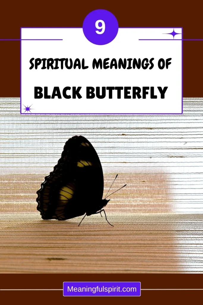 black-butterfly-symbolism-spiritually