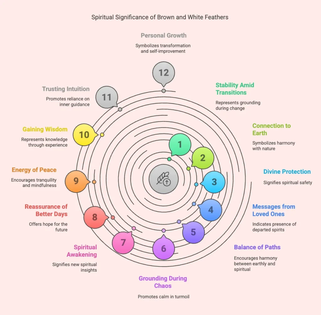 brown-and-white-feathers-spiritual-meaning