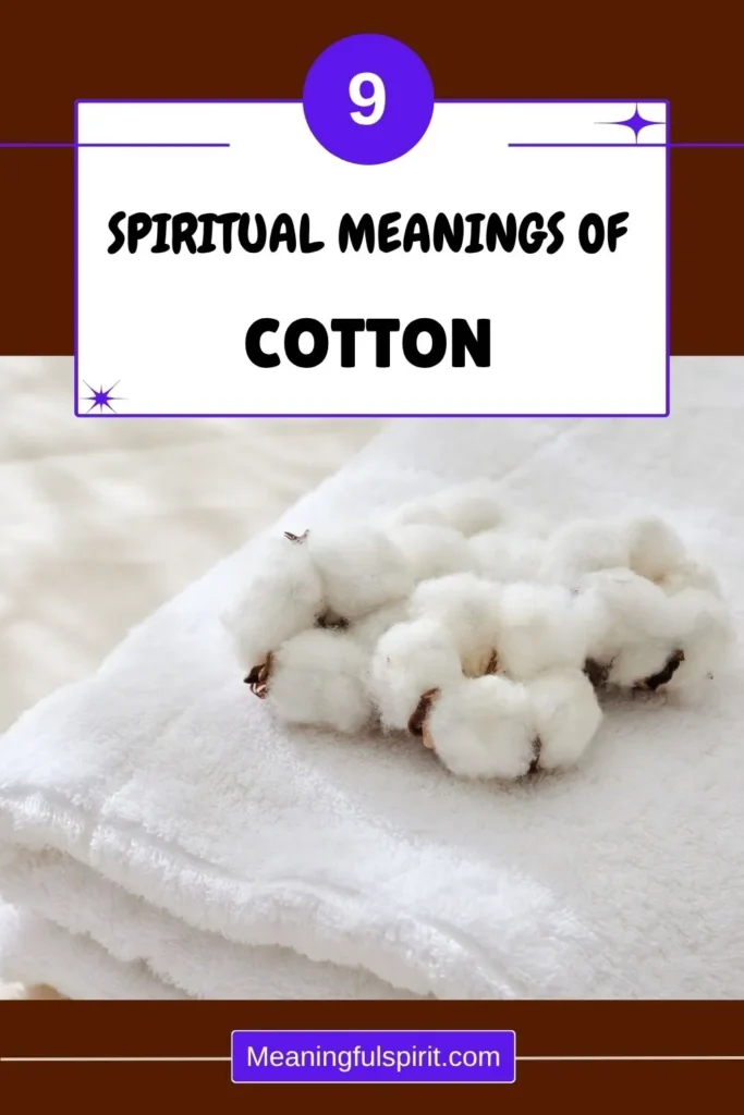 cotton-spiritual-meaning-significance