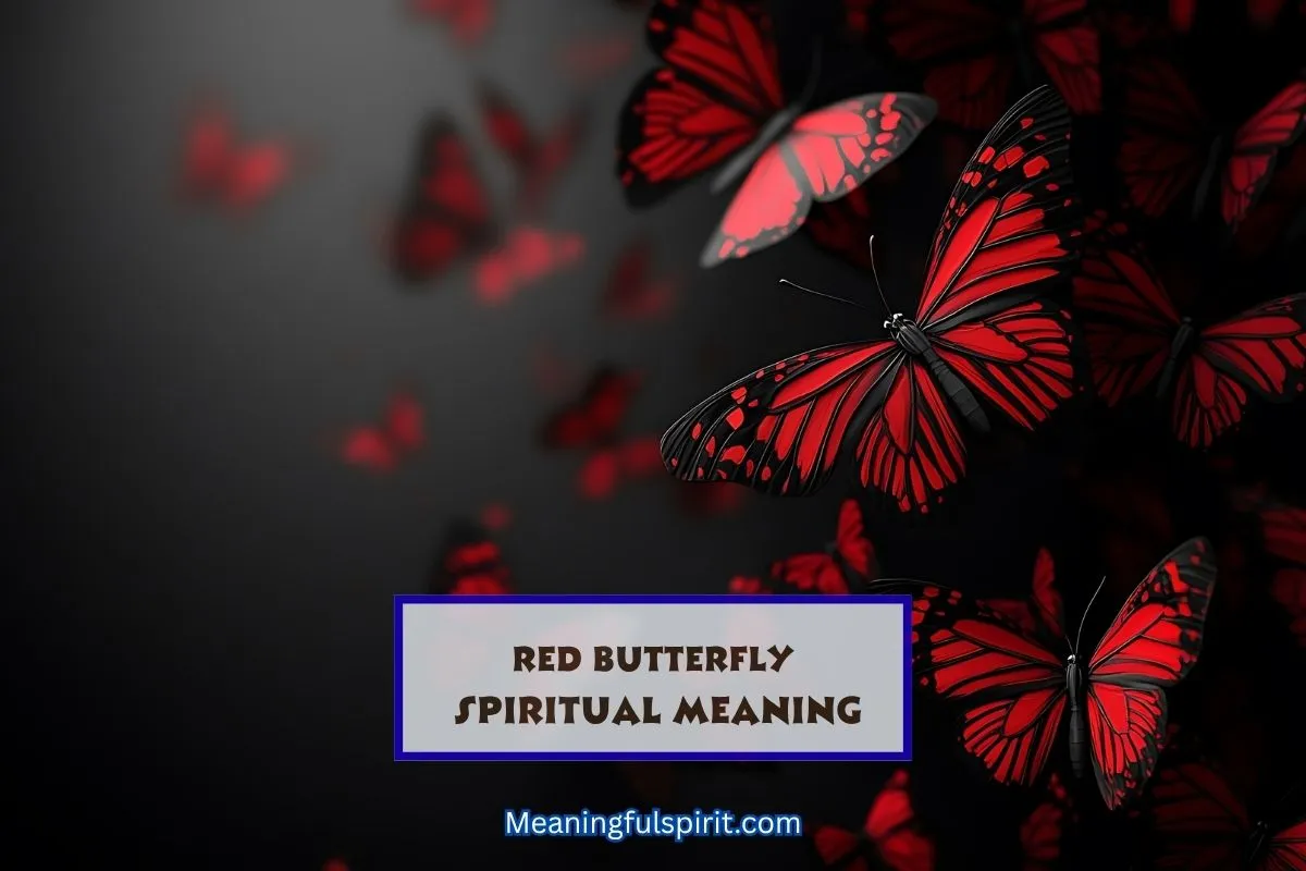 red-butterfly-spiritual-meaning-symbolism-significance