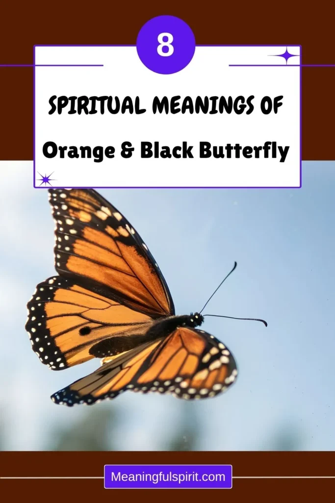 seeing-orange-and-black-butterfly-spiritual-meaning-symbolism