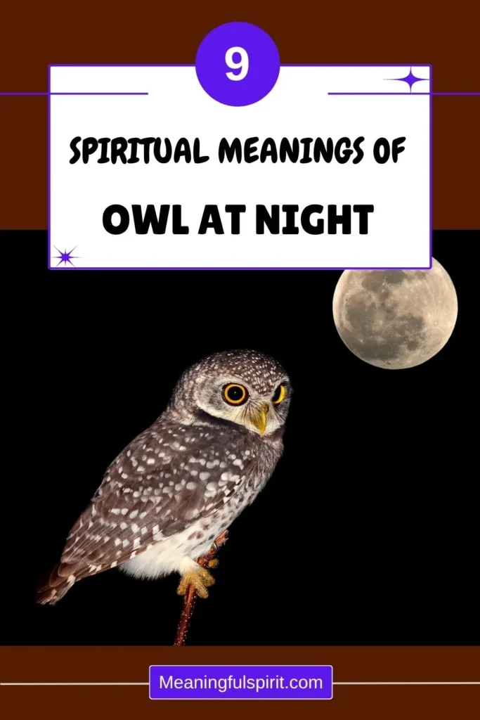 seeing-owl-at-night-meaning-spiritual