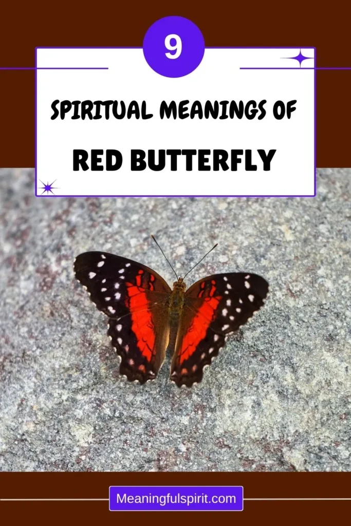 seeing-red-butterfly-spiritual-meaning