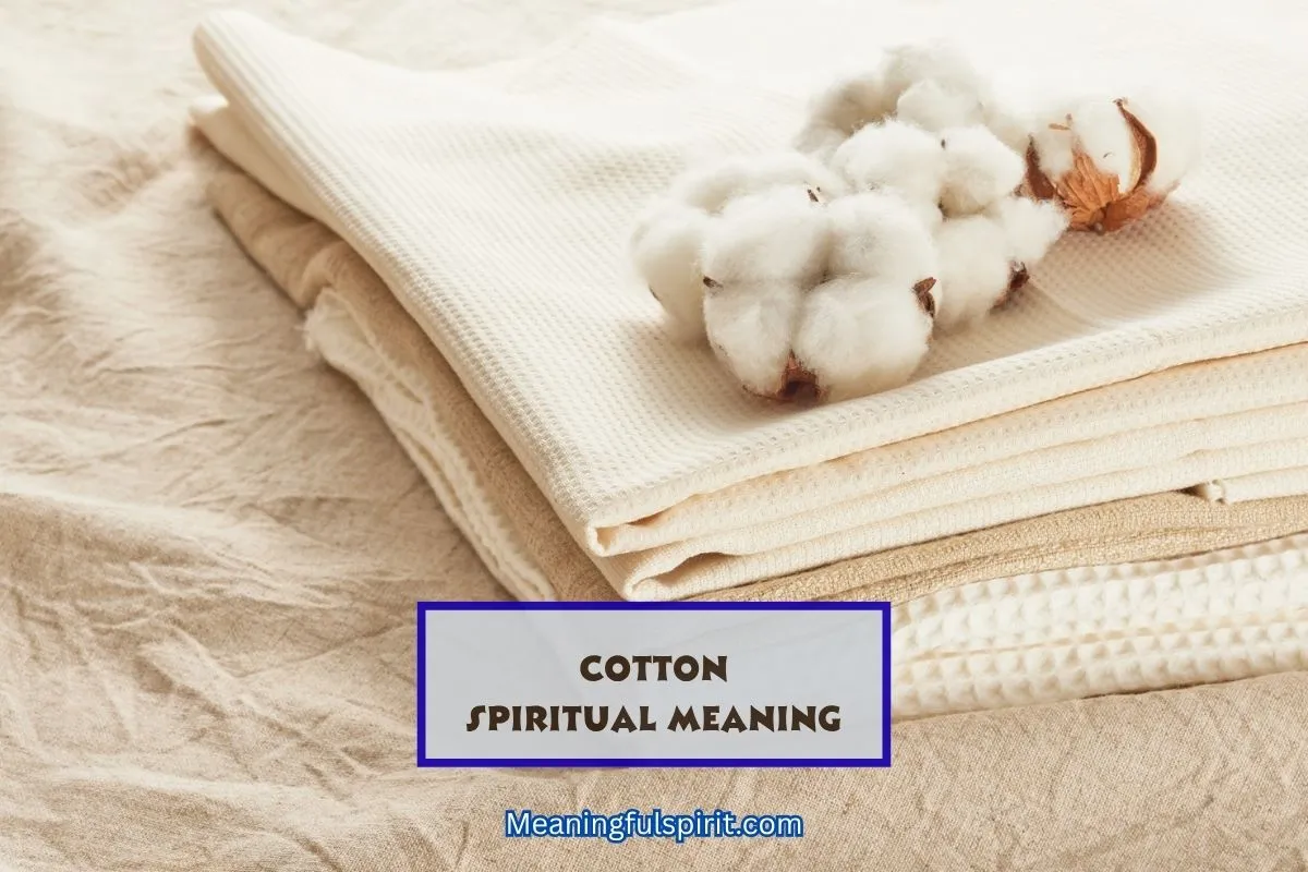 spiritual-meaning-cotton-flower-clothes