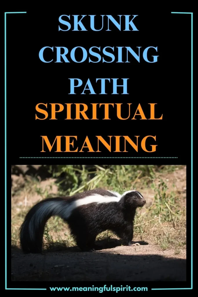 spiritual-meaning-of-a-skunk-crossing-your-path