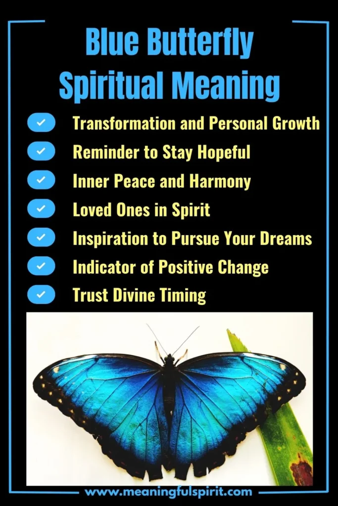 spiritual-meaning-of-blue-butterfly-and-its-symbolism