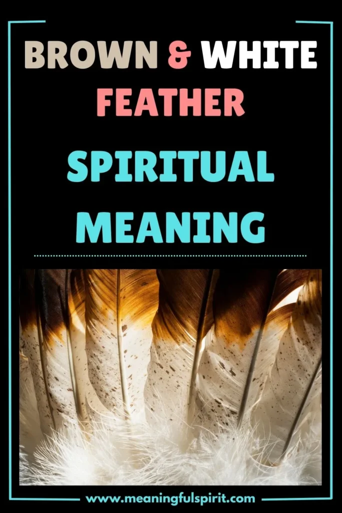 spiritual-meaning-of-brown-and-white-feather