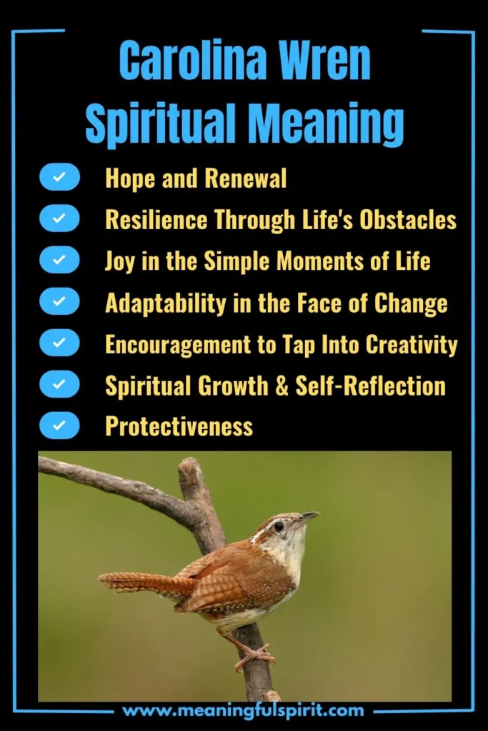 spiritual-meaning-of-carolina-wren