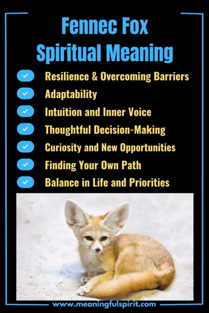 spiritual-meaning-of-fennec-fox-and-its-symbolism