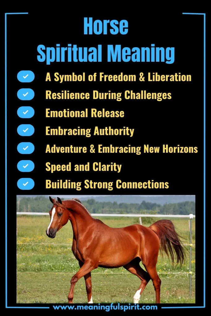 spiritual-meaning-of-horse-and-its-symbolism