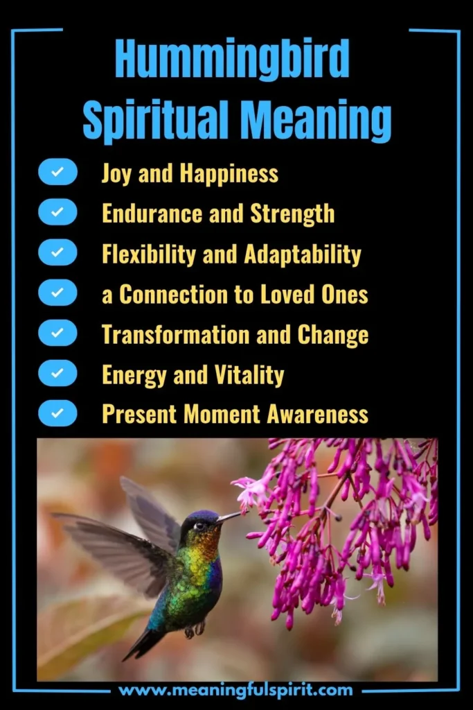 spiritual-meaning-of-hummingbird-and-its-symbolism