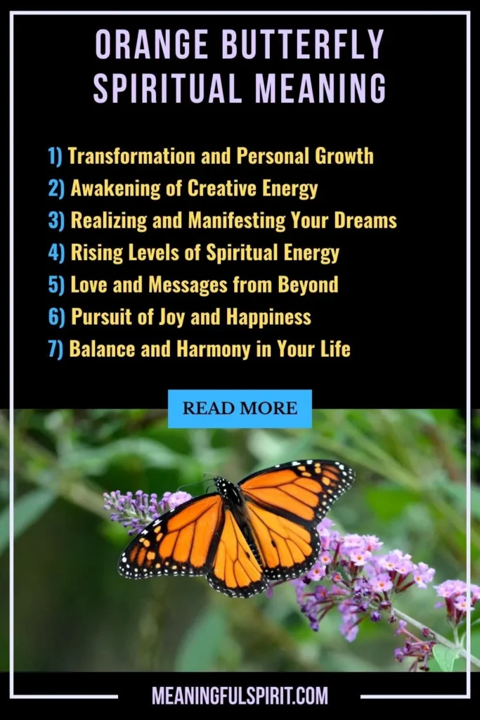 spiritual-meaning-of-orange-butterfly