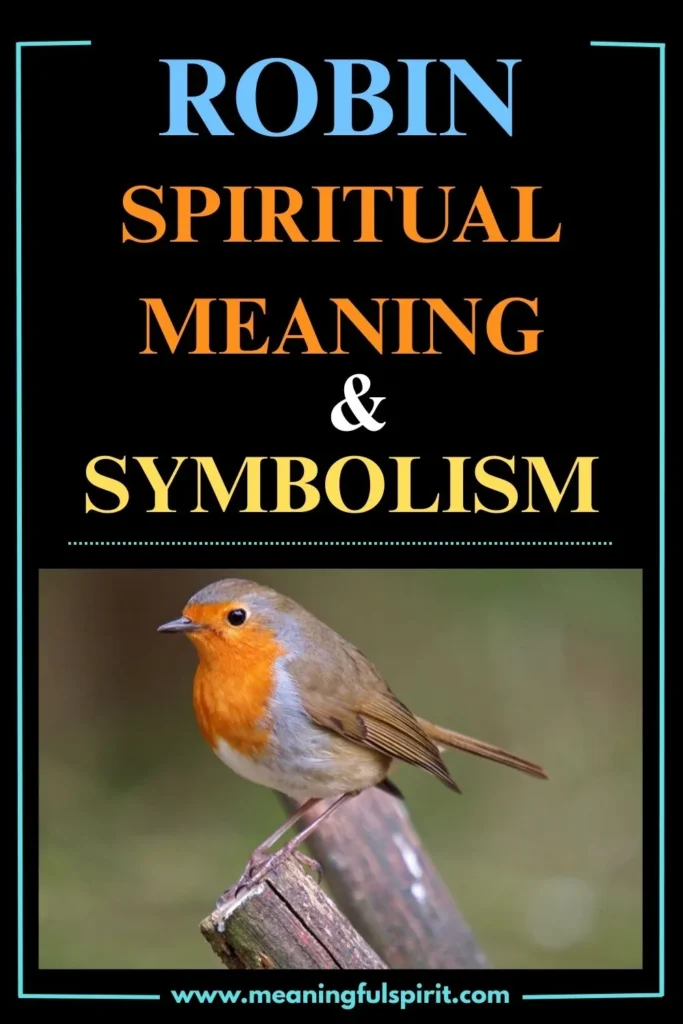 spiritual-meaning-of-robin-and-its-symbolism