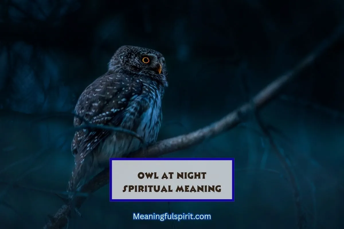spiritual-meaning-of-seeing-an-owl-at-night