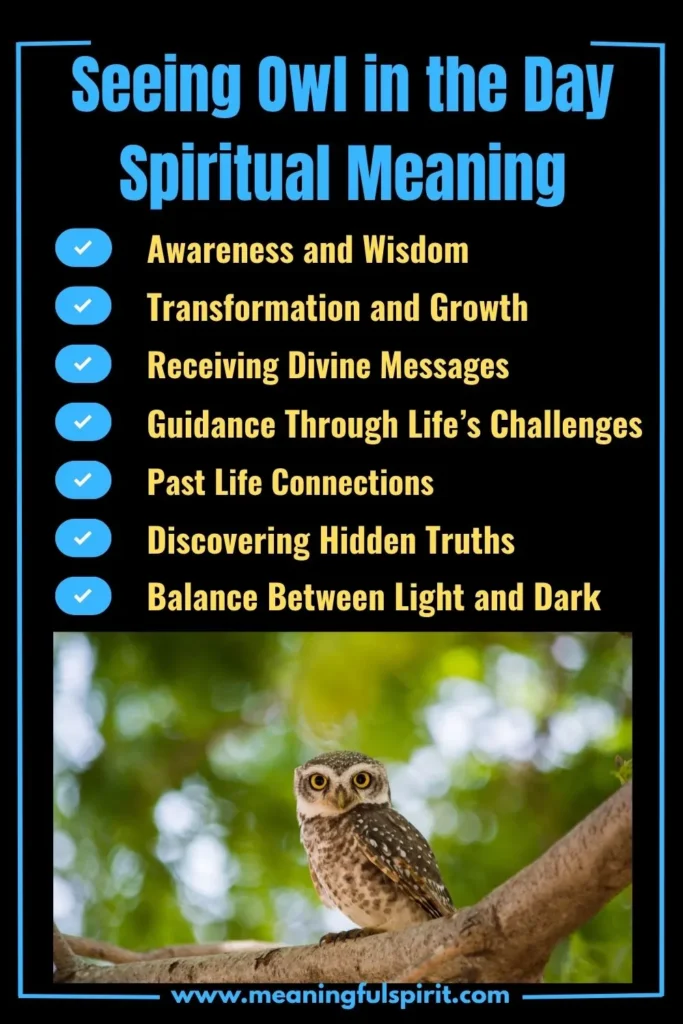 spiritual-meaning-of-seeing-an-owl-in-the-day
