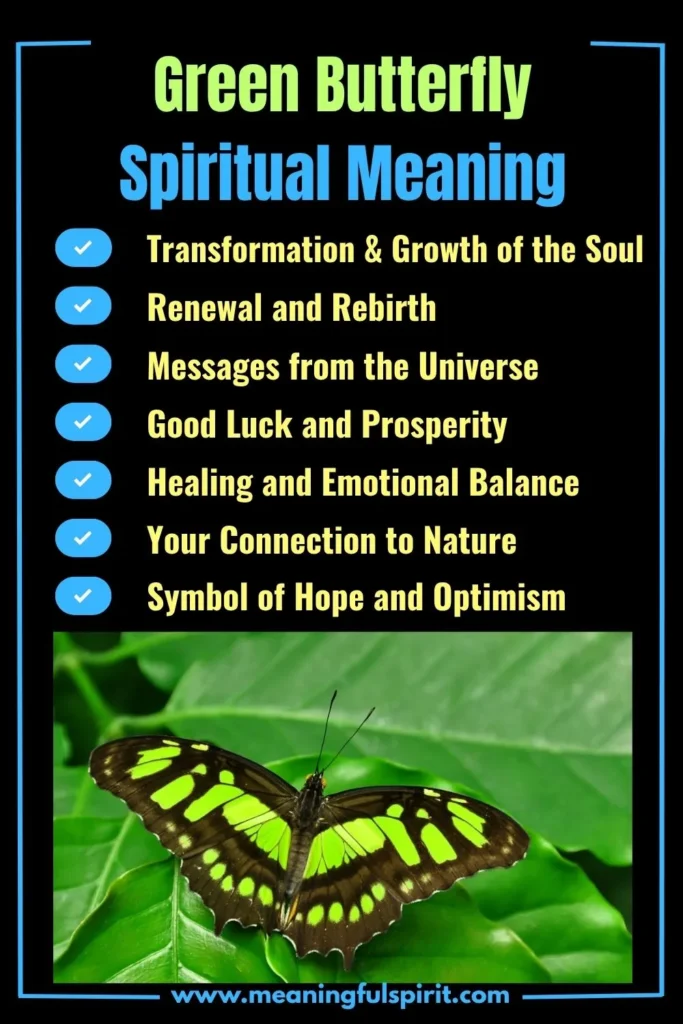 spiritual-meaning-of-seeing-green-butterfly