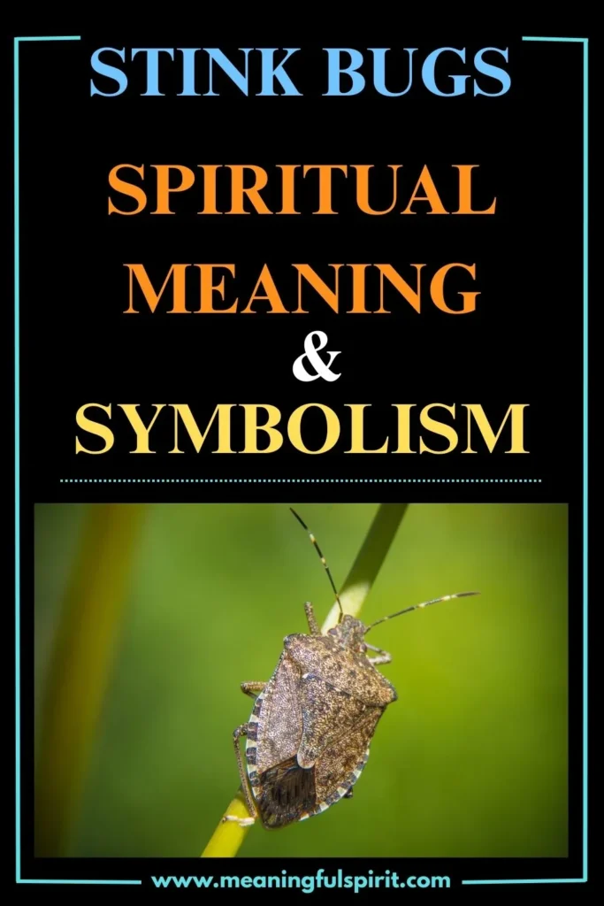 spiritual-meaning-of-stink-bugs