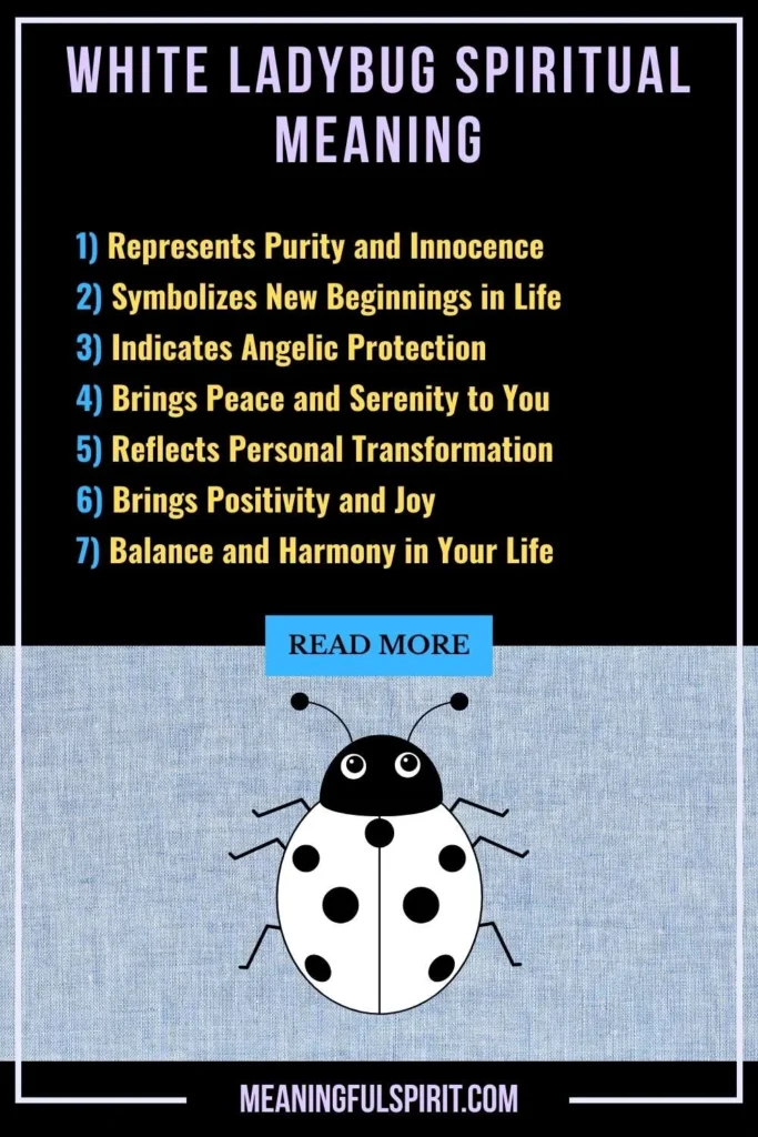 spiritual-meaning-of-white-ladybug
