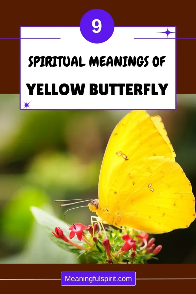 spiritual-meaning-of-yellow-butterfly