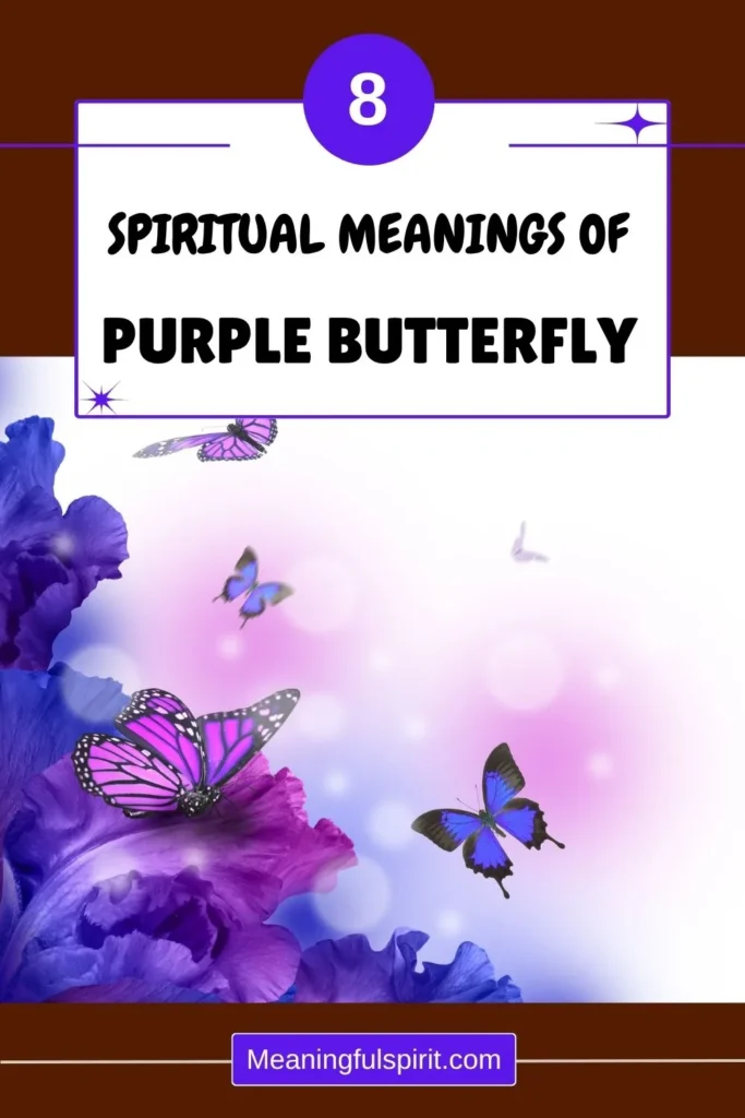 spiritual-symbolism-of-purple-butterfly