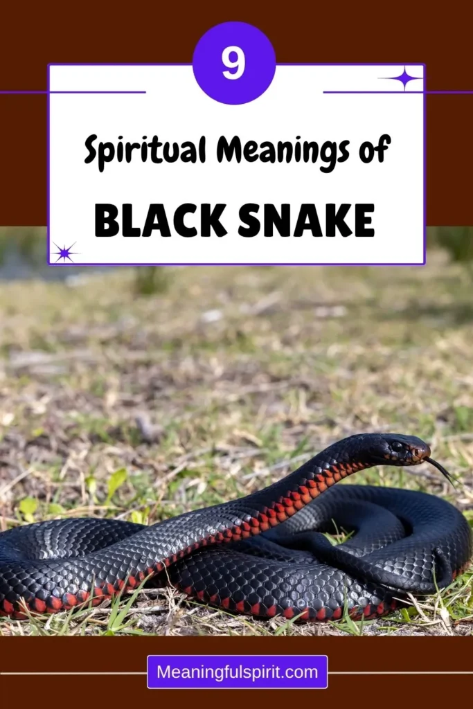 what-does-a-black-snake-represent-spiritually
