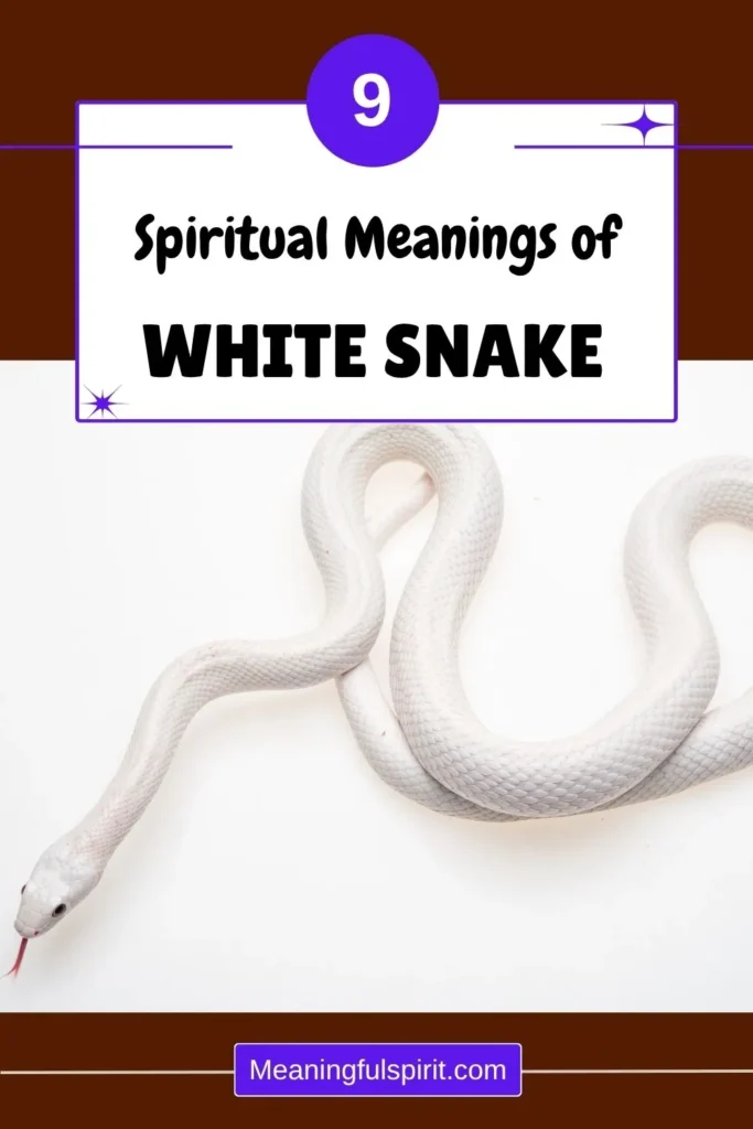 what-does-a-white-snake-symbolize-spiritually