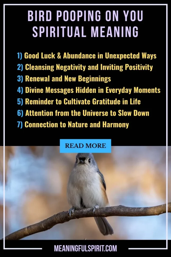 what-does-the-bird-pooping-on-you-represent-spiritually
