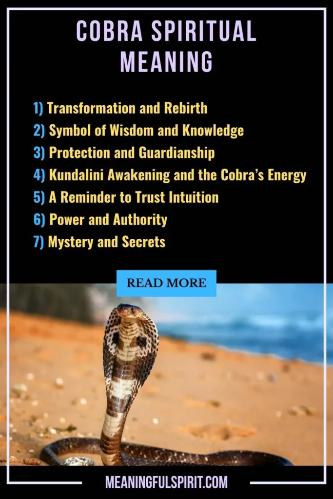 what-does-the-cobra-represent-spiritually