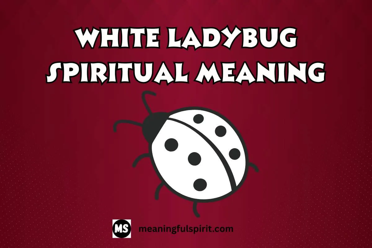 white-ladybug-spiritual-meaning