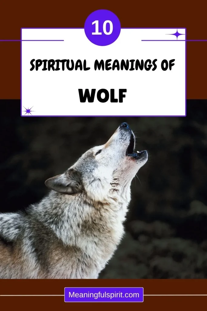 wolf-spiritual-meaning-symbolism-totem