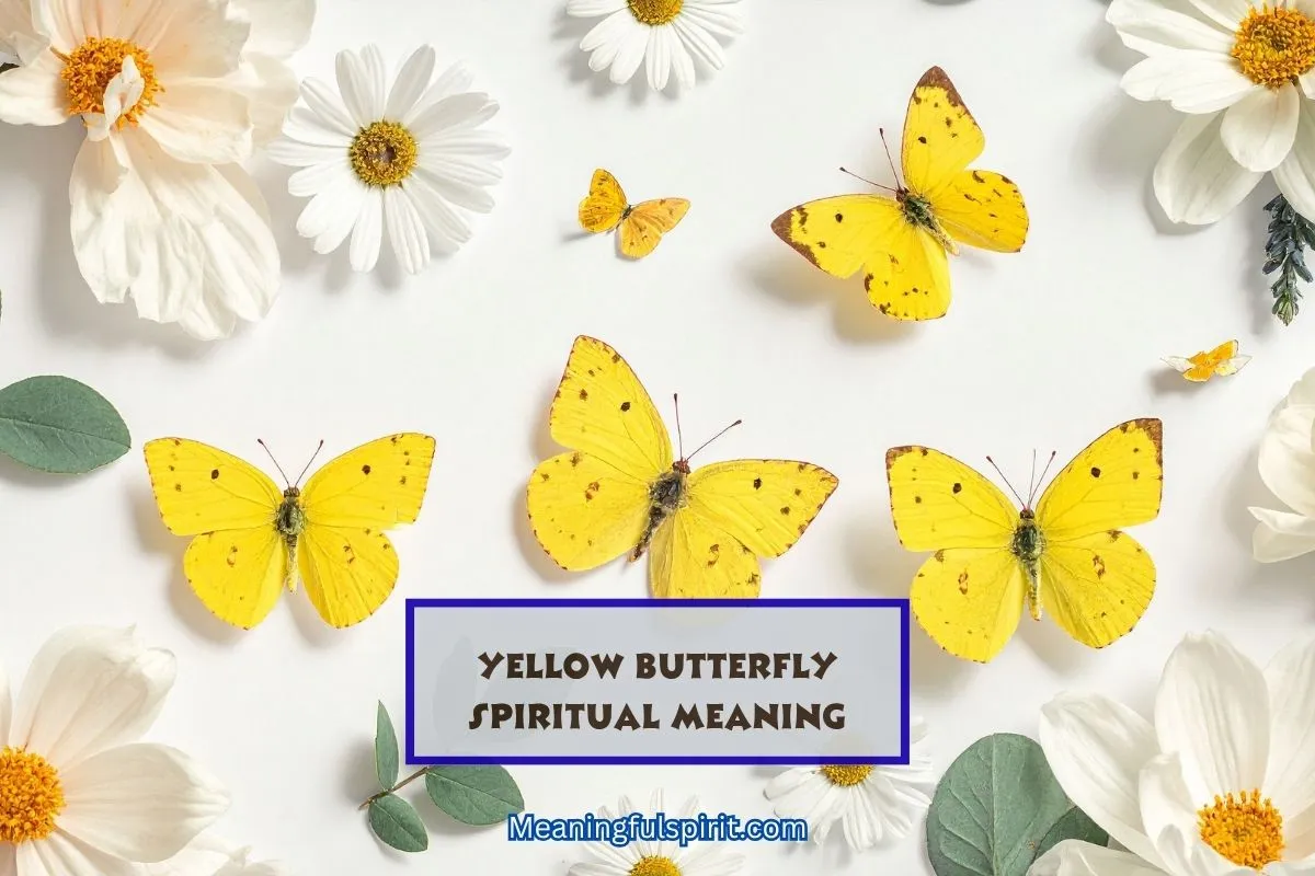 yellow-butterfly-spiritual-symbolism