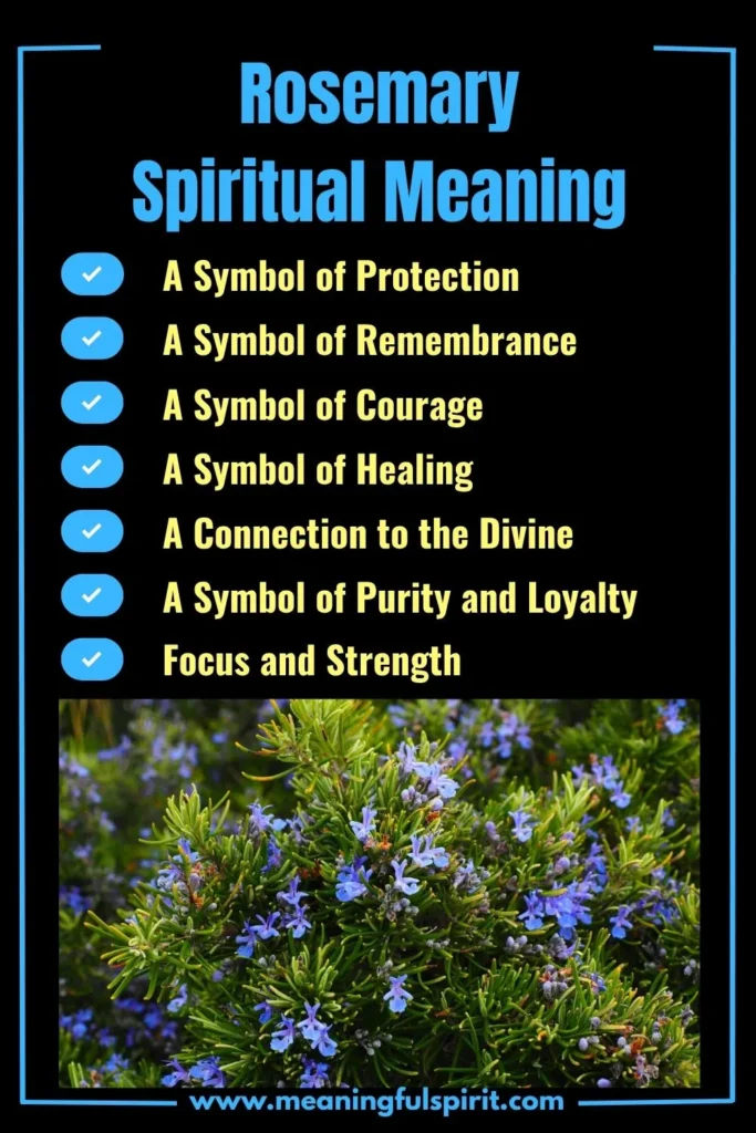 spiritual-meaning-of-rosemary-and-its-symbolism