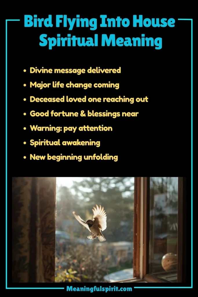 Bird Flying Into Your House Spiritual Meaning, Symbolism and Cultural Significance